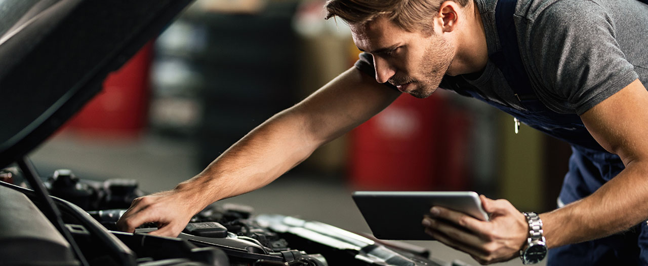 Como en Drivelia, en ningún sitio